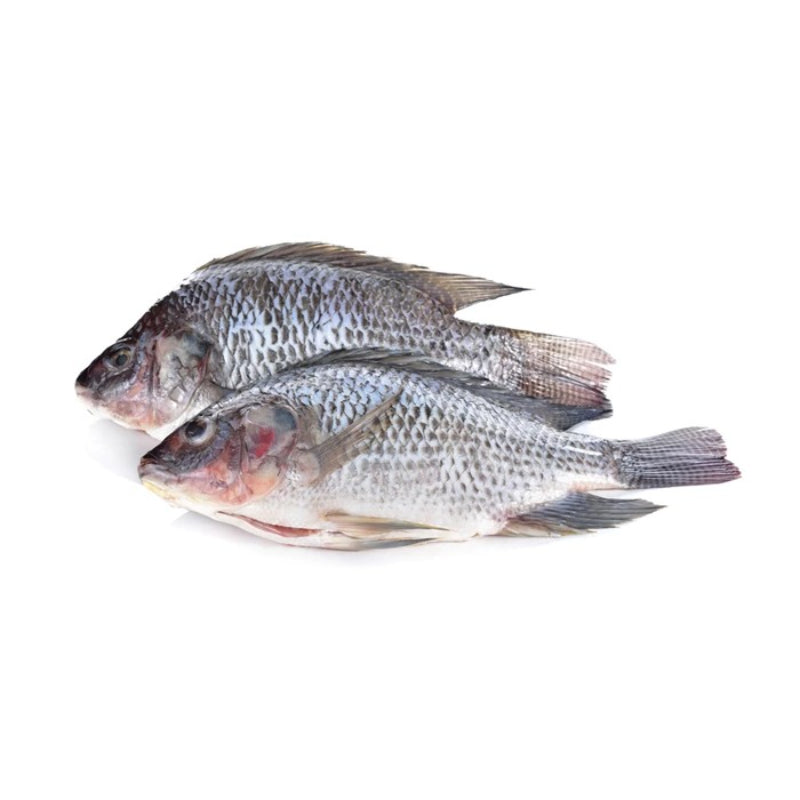 Head On Gutted Scaled Tilapia 800G