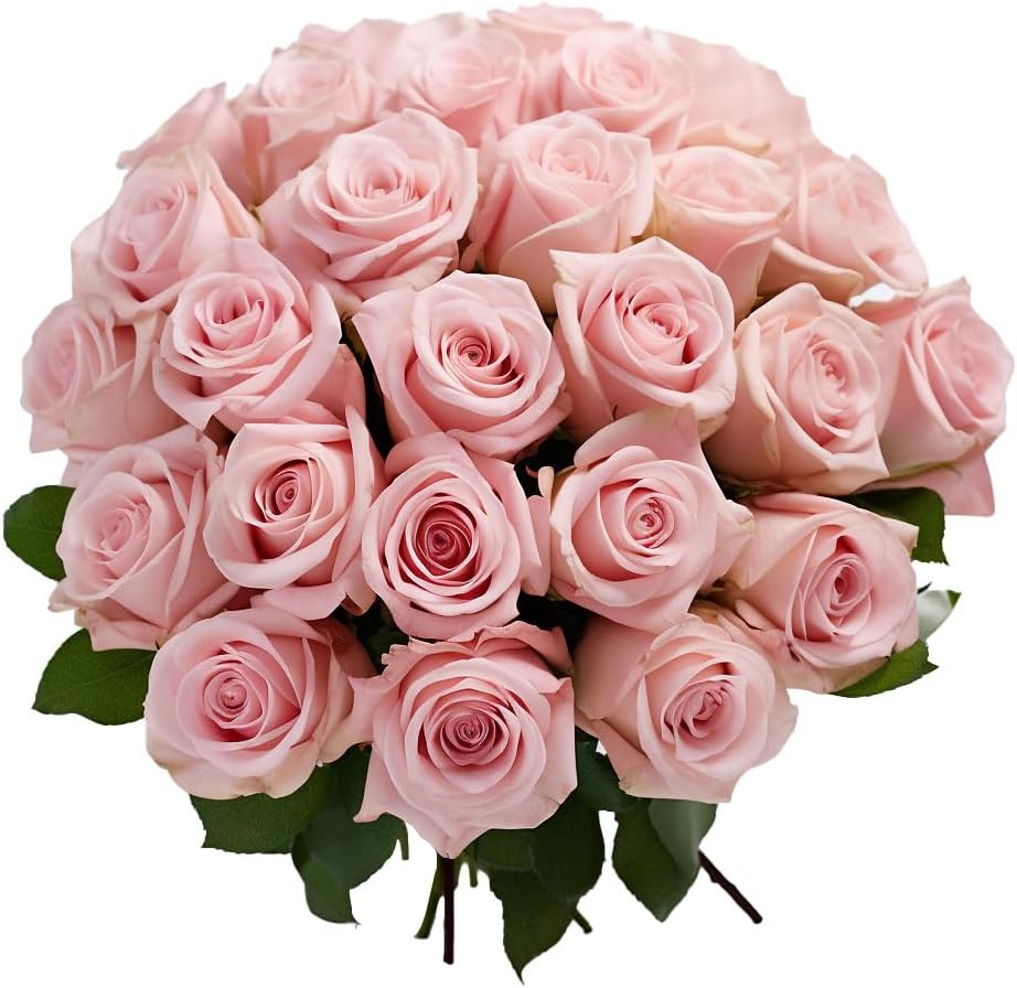 Ghana Fresh Pink Rose Buds 50G