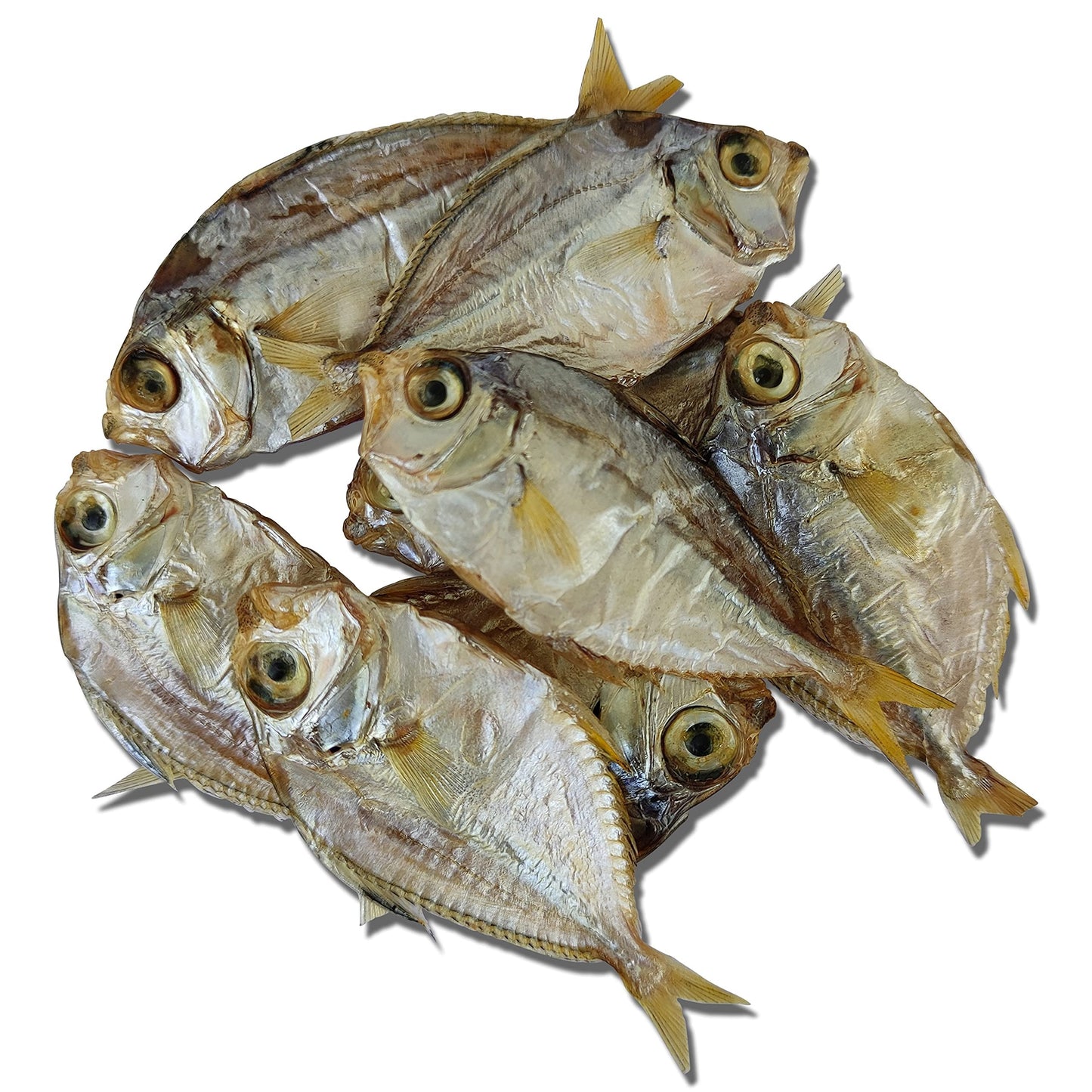 Dried Fish