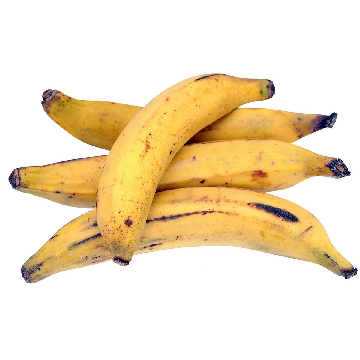 Plantain X 6 (Ripened)