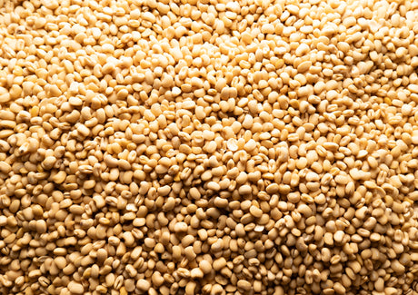Beans