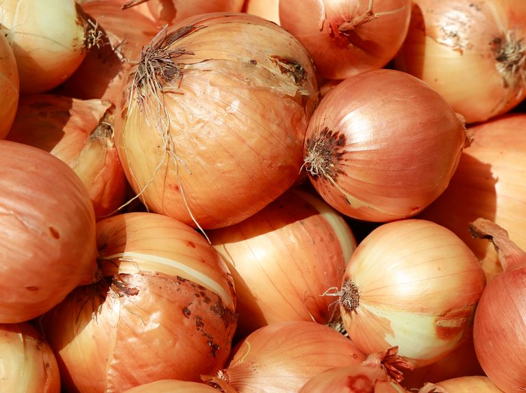 Onions