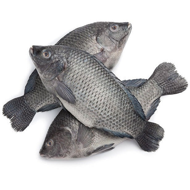 Gutted Scaled Tilapia 300-500gm