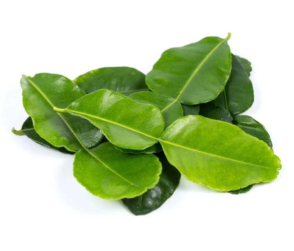 Ghana Fresh Kaffir Lime Leaves 15G