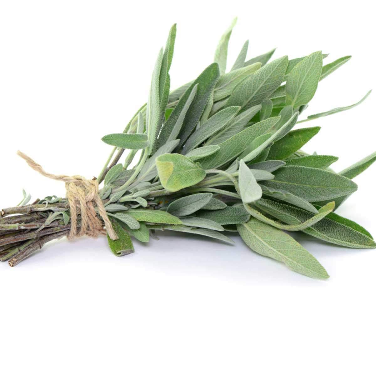 Ghana Fresh Sage Leaves 40G