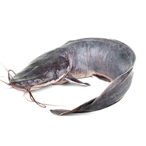 Catfish Head 150G