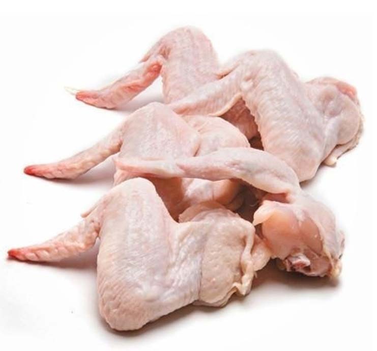 Fresh Chicken Meat