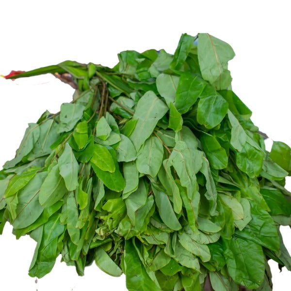 Oha Leaves Fresh