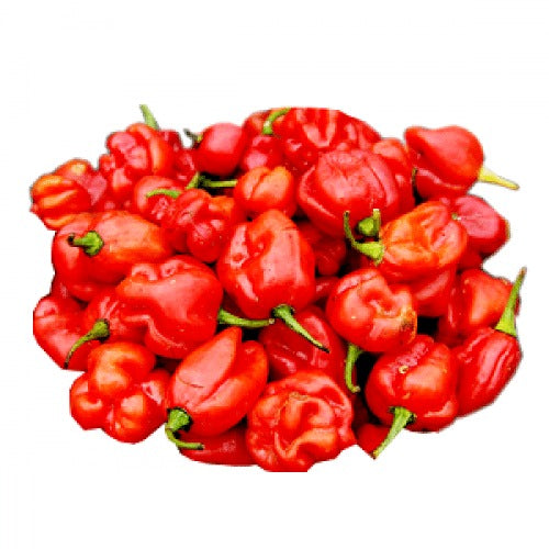 Scotch Bonnet 0.15Kg
