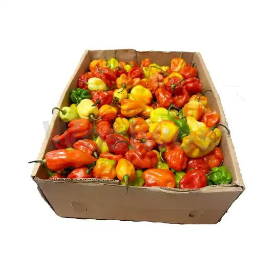 Scotch Bonnet Ugandan (Half Box)
