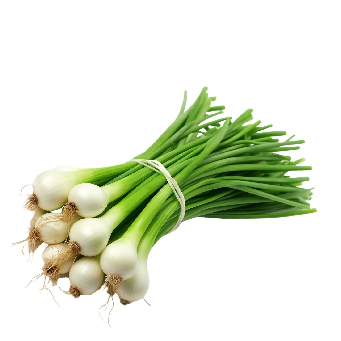 Spring Onion