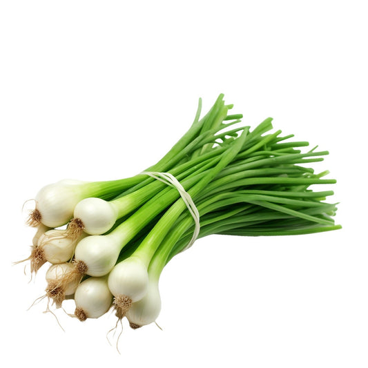 Spring Onion
