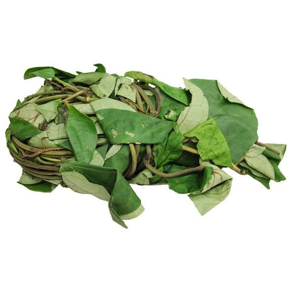 Uziza Leaves Fresh